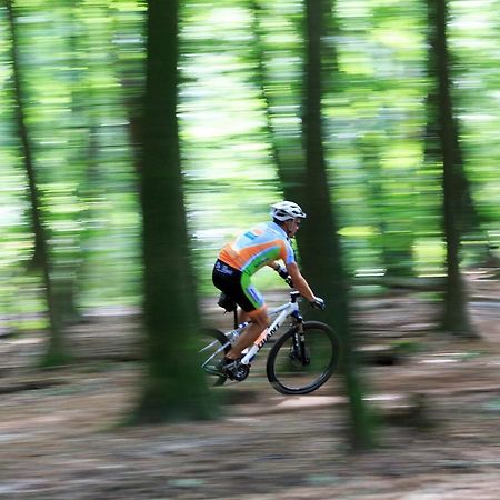 Chalet Op De Veluwe # Berk Putten Esterno foto