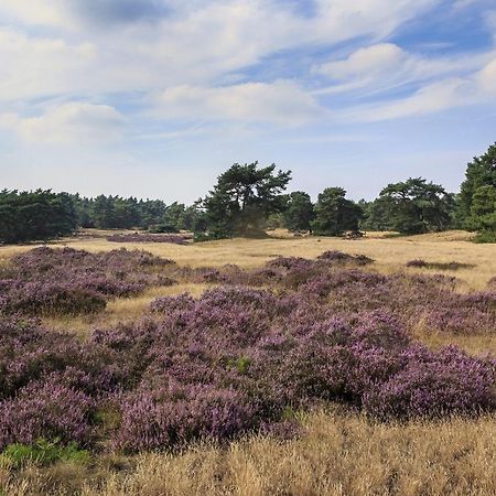 Chalet Op De Veluwe # Berk Putten Esterno foto