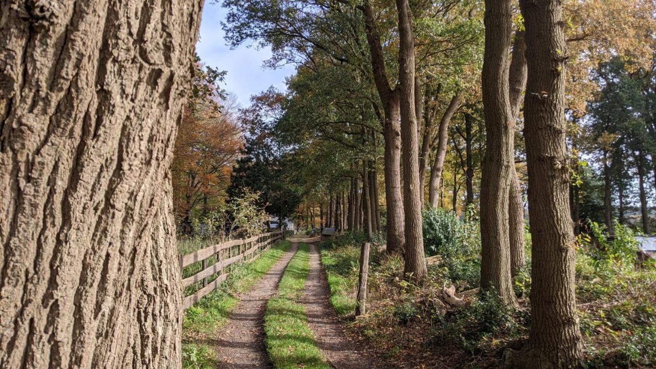 Chalet Op De Veluwe # Berk Putten Esterno foto