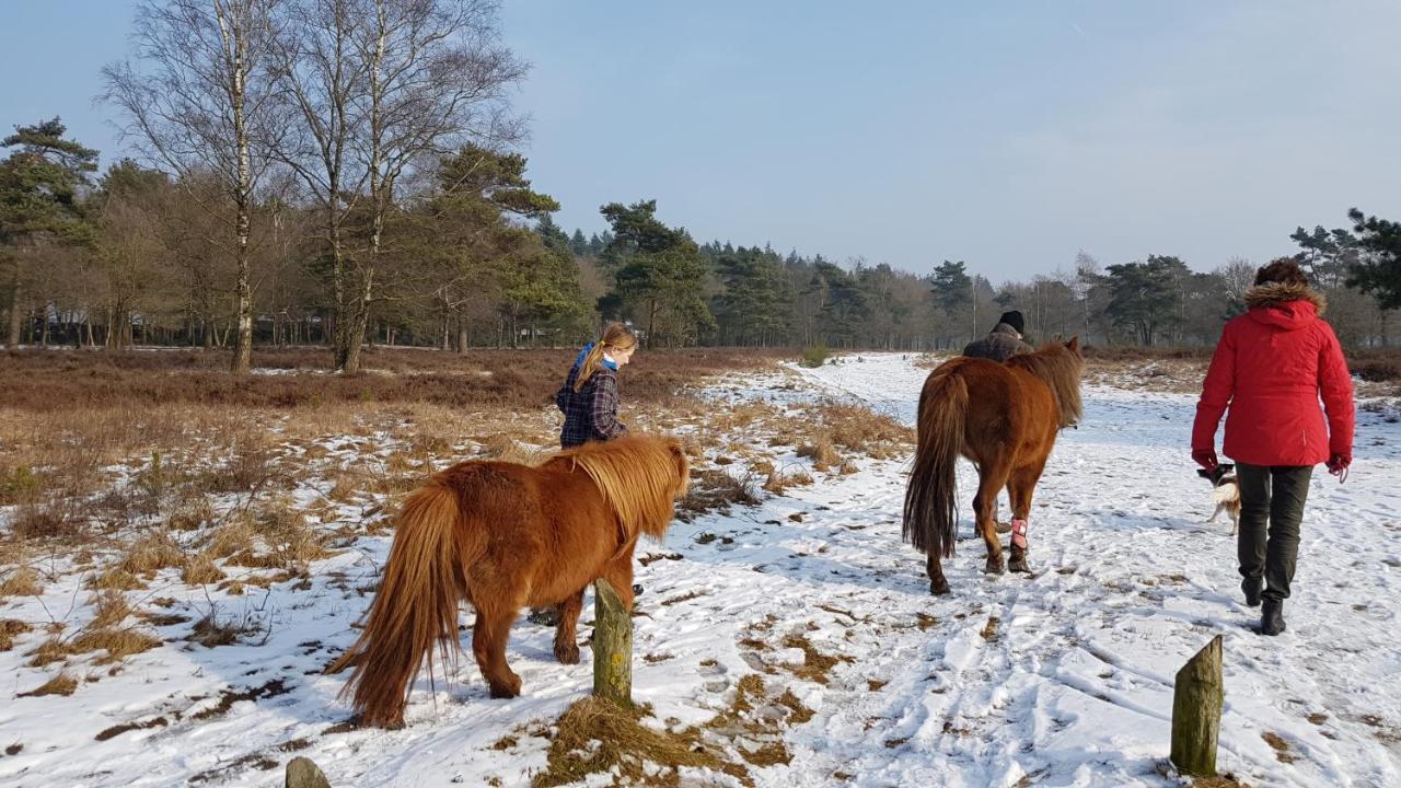 Chalet Op De Veluwe # Berk Putten Esterno foto