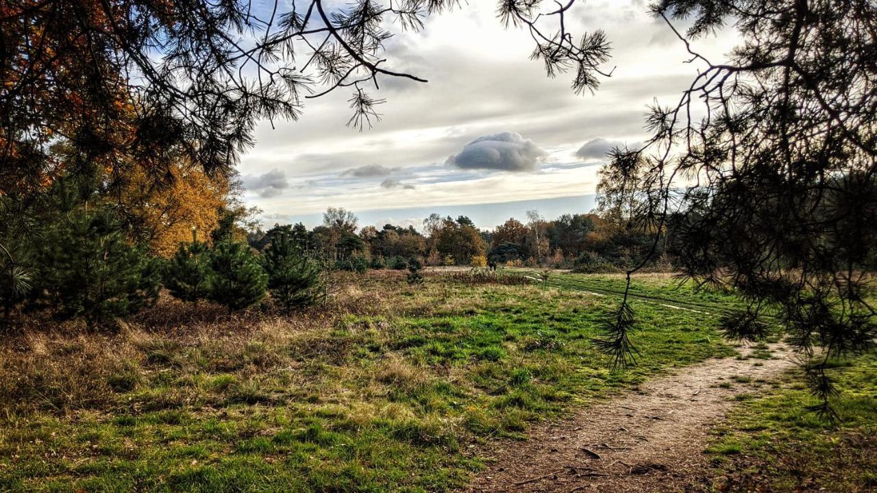 Chalet Op De Veluwe # Berk Putten Esterno foto