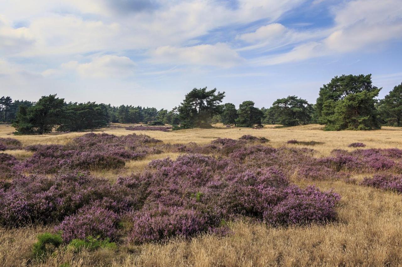 Chalet Op De Veluwe # Berk Putten Esterno foto